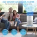 STEALTH Air Purifier for Home, H13 True HEPA Filter, Covers up to 323 sq.ft, Remove 99.97% of Airborne particles Such as Smoke, Dust, Odors, Pets Hair in Bedroom, Desktop Air Purifiers, JAP230W