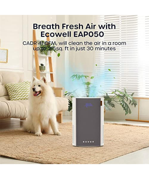ECOWELL Air Purifiers for Bedroom, H13 HEPA Air Purifiers for Home Office Living Room, Air Filter Air Cleaner for Pet Dander Odors Smoke Pollen Dust, Small Air Purifier with 28dB Sleep Mode, EAP050