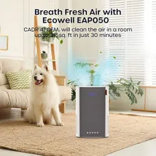 ECOWELL Air Purifiers for Bedroom, H13 HEPA Air Purifiers for Home Office Living Room, Air Filter Air Cleaner for Pet Dander Odors Smoke Pollen Dust, Small Air Purifier with 28dB Sleep Mode, EAP050