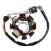 125cc 150cc 200cc 250cc Quad Electric CDI Coil Wire Harness Stator Assembly Wiring Set