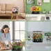Smart Hydroponic Plant Growth Light Indoor Plant Hydroponic Machine with 10 Holes Full Spectrum LED Grow Light for Vegetables Fruits Flowers Herb Garden Kit