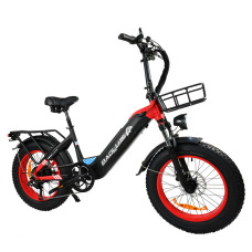 BAOLUJIE DP-2003 48V 12AH 500W 20*4.0inch Electric Bicycle 30-40KM Max Mileage 120KG Payload Electric Bike