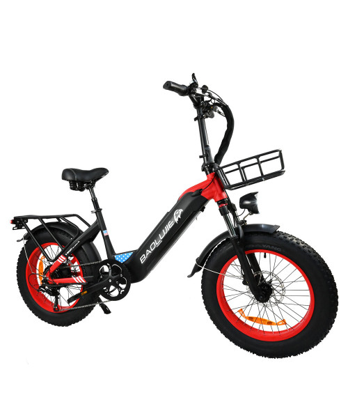 BAOLUJIE DP-2003 48V 12AH 500W 20*4.0inch Electric Bicycle 30-40KM Max Mileage 120KG Payload Electric Bike