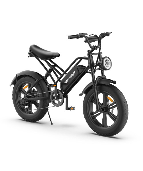 HAPPYRUN HR-G50 Electric Bike 48V 18Ah Battery 750W Motor 20inch Tires 110KM Mileage 120KG Max Load Electric Bicycle