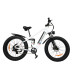 BAOLUJIE DP-2615 48V 12AH 500W 26*4.0inch Electric Bicycle 30-40KM Max Mileage 120KG Payload Electric Bike