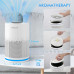 STEALTH Air Purifier for Home, H13 True HEPA Filter, Covers up to 323 sq.ft, Remove 99.97% of Airborne particles Such as Smoke, Dust, Odors, Pets Hair in Bedroom, Desktop Air Purifiers, JAP230W