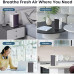 ECOWELL Air Purifiers for Bedroom, H13 HEPA Air Purifiers for Home Office Living Room, Air Filter Air Cleaner for Pet Dander Odors Smoke Pollen Dust, Small Air Purifier with 28dB Sleep Mode, EAP050
