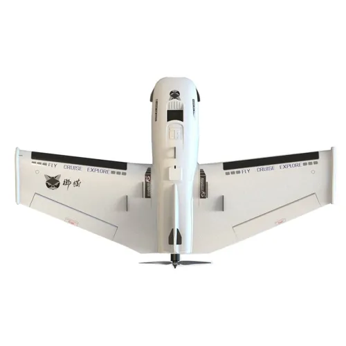 LTE Rambler RS 1000mm Wingspan EPP FPV RC Airplane Sweepforward Wing KIT