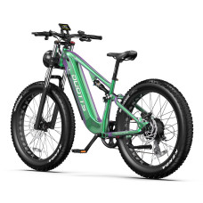 DUOTTS E26 Electric Bike 48V 20Ah SamsungBattery 750W Motor 26inches Tires 100-120KM Max Mileage 150KG Max Load Electric Bicycle