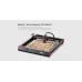 Algolaser Alphas MK2 20W Laser Engraver Diode Laser 20000mm/min Smart Touchscreen 32GB Storage Multi-Software Support