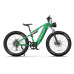 DUOTTS E26 Electric Bike 48V 20Ah SamsungBattery 750W Motor 26inches Tires 100-120KM Max Mileage 150KG Max Load Electric Bicycle