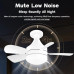 18 Inch E27 Screw Head Fan Light Remote Control Three Color Dimming Detachable Fan Leaf Household Silent Small Fan Light