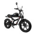 DUOTTS F20 Electric Bike 750W Motor 52V 27AH Battery 20*4.0inches Tires GPS Tracking  Bluetooth APP 130-140KM Max Mileage 150KG Max Load Electric Bicycle