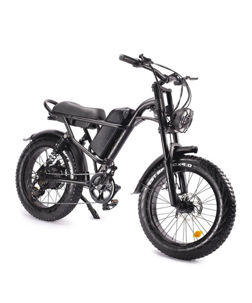 Idpoo IM-J1 Electric Bike 48V 15.6AH 750W Electric Bicycle 20*4.0 Inch 80-120KM Mileage Range Max Load 120KG