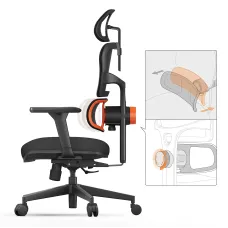 NEWTRAL NT001 Ergonomic Office Chair High Back Desk Chair Standard Version with Unique Adjustable Lumbar Support Adjustable Backrest and Seat Pan Depth Tilt Function Headrest 3D Armrests Computer Chair Black