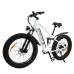 BAOLUJIE DP-2615 48V 12AH 500W 26*4.0inch Electric Bicycle 30-40KM Max Mileage 120KG Payload Electric Bike