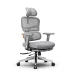 NEWTRAL NT002 Ergonomic Office Chair with Footrest High Back Desk Chair with Unique Adjustable Lumbar Support Backrest Seat Depth Adjustment Tilt Function 4D Armrest Recliner Chair for Home Office